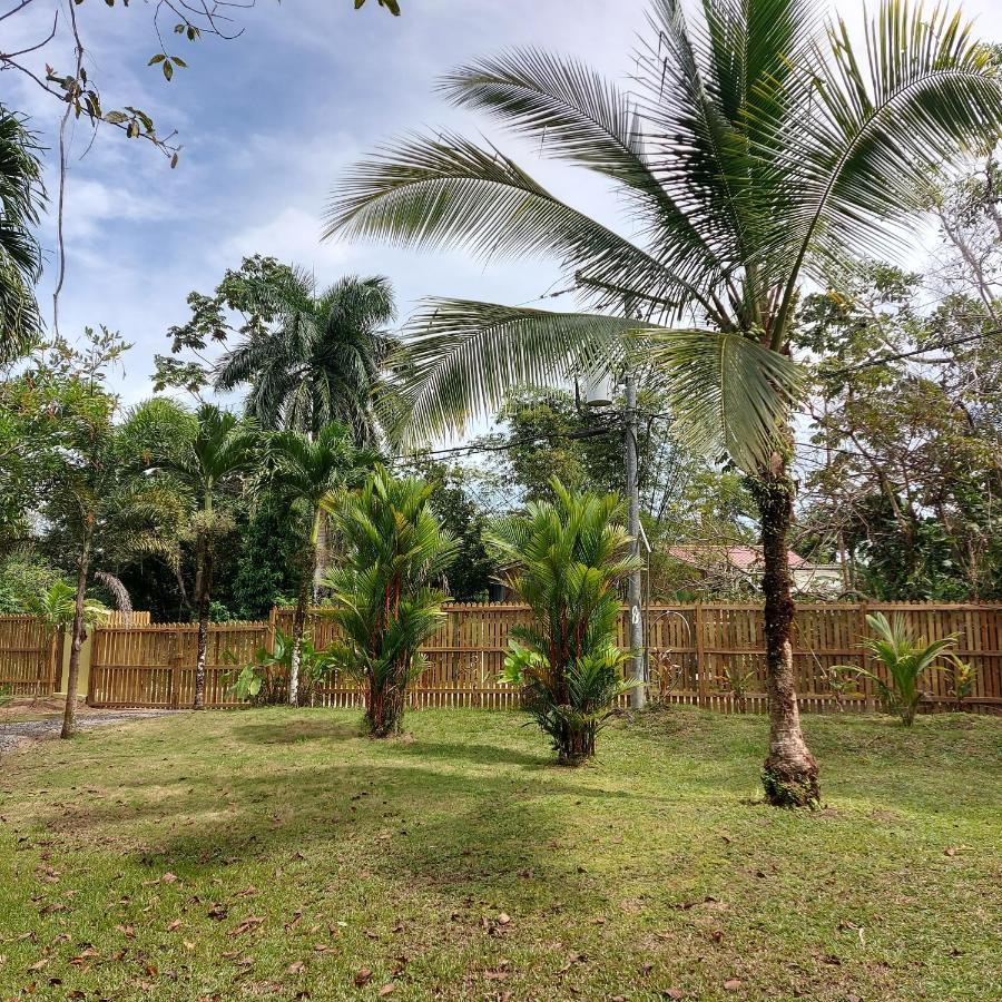 Casa Oceana Bed & Breakfast Bocas Town Bagian luar foto