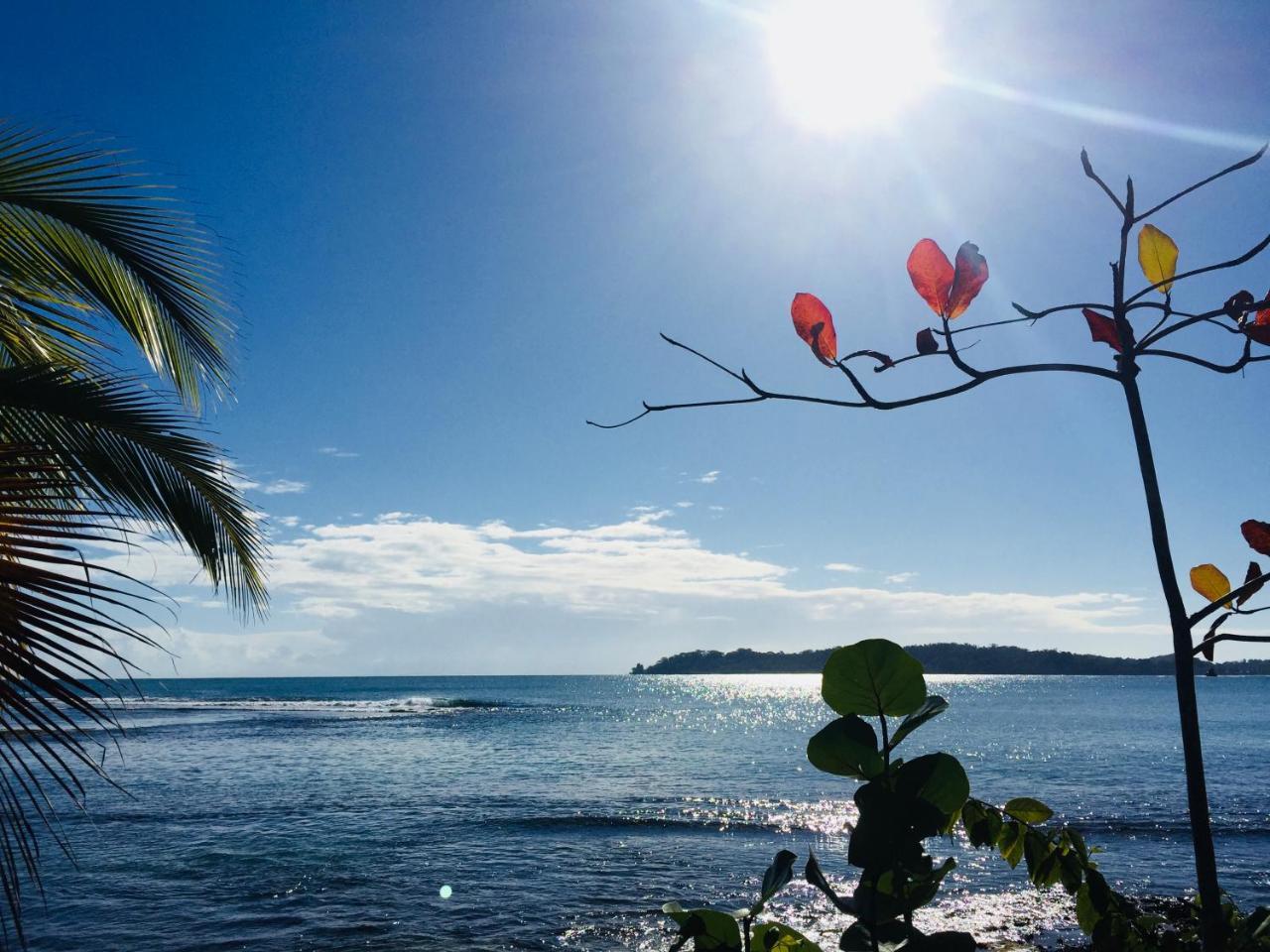 Casa Oceana Bed & Breakfast Bocas Town Bagian luar foto