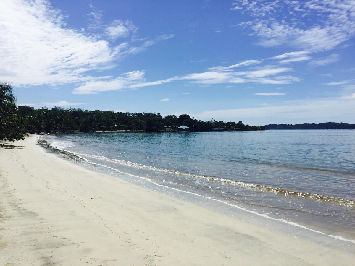 Casa Oceana Bed & Breakfast Bocas Town Bagian luar foto